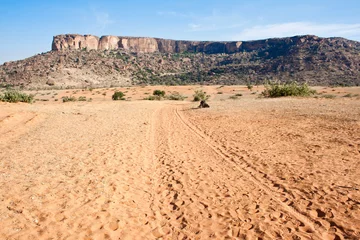  Desert at the base of the cliff, Mali (Africa) © michelealfieri