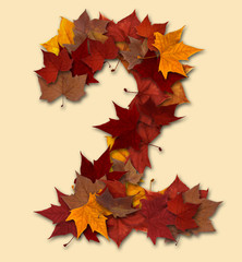 Number two multicolored fall leaf composition isolated