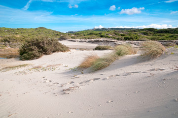Sardinia, Italy: sand dunes at Rena Majore beach