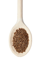 caraway seasoning food ingredient