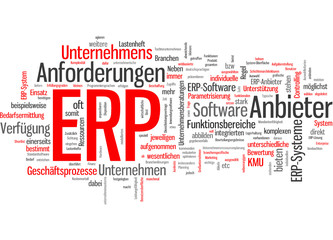 Enterprise Resource Planning (ERP)