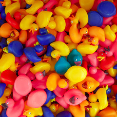 rubber toy ducks