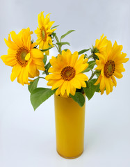 Sonnenblumen