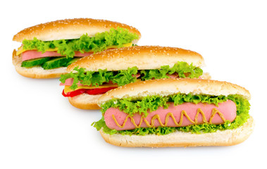 Delicious hot dog and sandwiches isolated on white