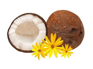 coconut isolated on white background