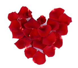 Red rose petals isolated on white