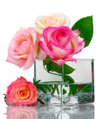 Beautiful roses in transparent vase isolated on white