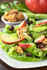 Waldorf Salad made of lettuce, apple, celery, walnuts, raisins