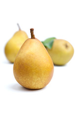 'Beurré Hardy' / 'Gellerts Butterbirne'