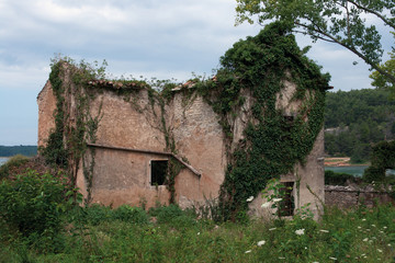 Abandoned residential house covered with green vegetation