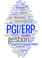 Progiciel de gestion intégré PGI ERP