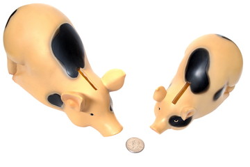 Two pigs have found a coin