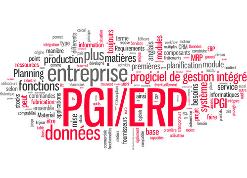 Progiciel de gestion int&eacute;gr&eacute; PGI ERP