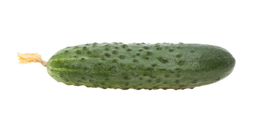 Cucumber.