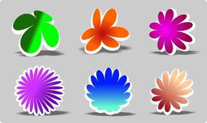 Obraz premium symbol design elements