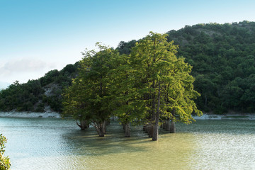 mountain lake with cypress trees