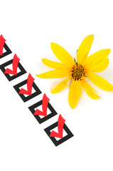 Jerusalem artichoke flowers
