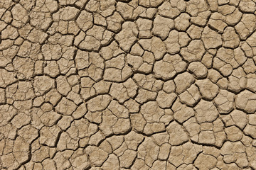 Cracked dry desert during drought