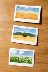 Fototapeta premium Picture frames with nature photos