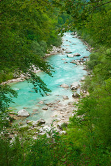 Beautiful turquoise mountain river in forest frame. Soca