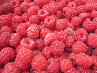Close up of raspberry