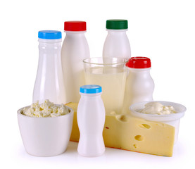 Milk cheese yogurt