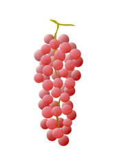 ぶどう