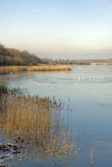 Etang de Saint Hubert, 78