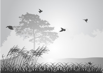 grey pine and birds in sky illustration