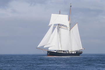 Tall ship in the sea