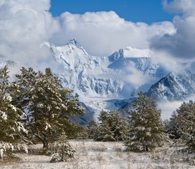 winter fantasy scene mountain forest