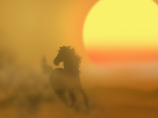 夕日と馬