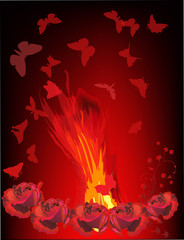 red rose flowers and butterflies near flame