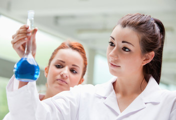 Lab partners looking at a flask