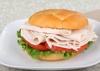Sliced Turkey Breast Sandwich