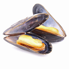 moules