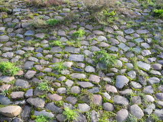 Carriageway in autumn