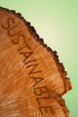 Fototapeta premium Sustainability concept