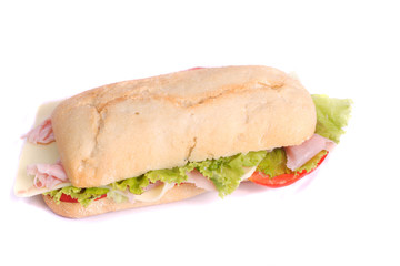 fresh and tasty sandwich