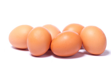 eggs on a white background