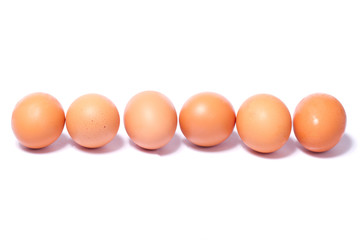 eggs on a white background