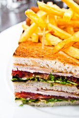 Sandwich with chicken, cheese and golden French fries potatoes