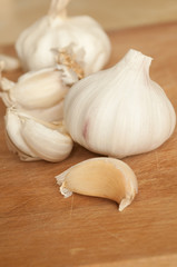 Garlic