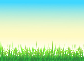 Fototapeta na wymiar Green Grass Background