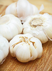 garlic