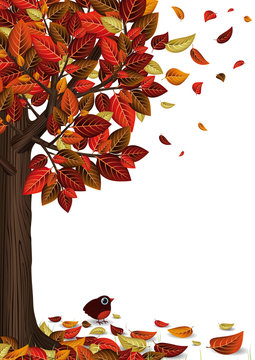 Arbre et feuilles d&rsquo;automne