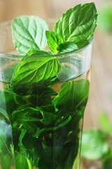 Mint Tea