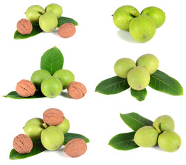 green walnuts