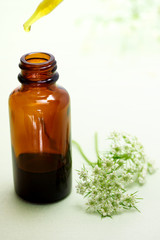 Herbal medicine with dropper bottle and Anise flowers