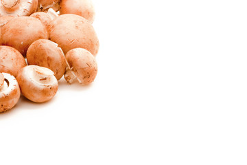 isolated champignons